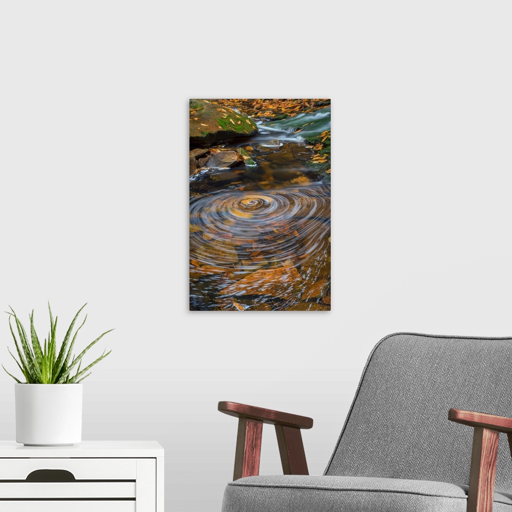 A modern room featuring USA, West Virginia, Blackwater Falls State Park. Whirlpool in stream.