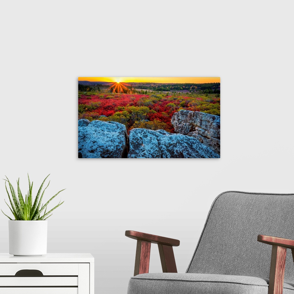 A modern room featuring USA, West Virginia, Dolly Sods Wilderness Area. Sunset on tundra and rocks.