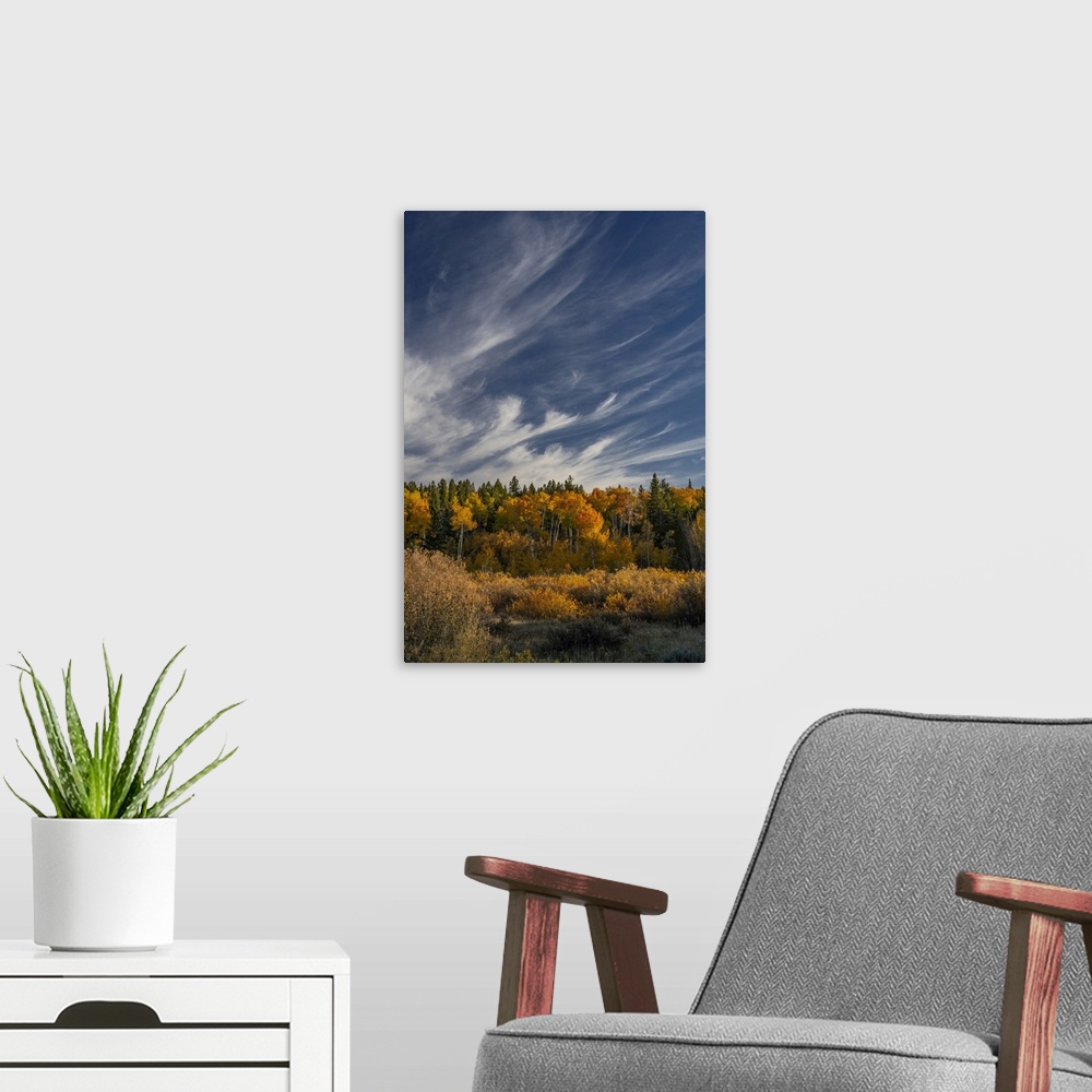 A modern room featuring USA, Wyoming. Autumn afternoon clouds, Grand Teton National Park.