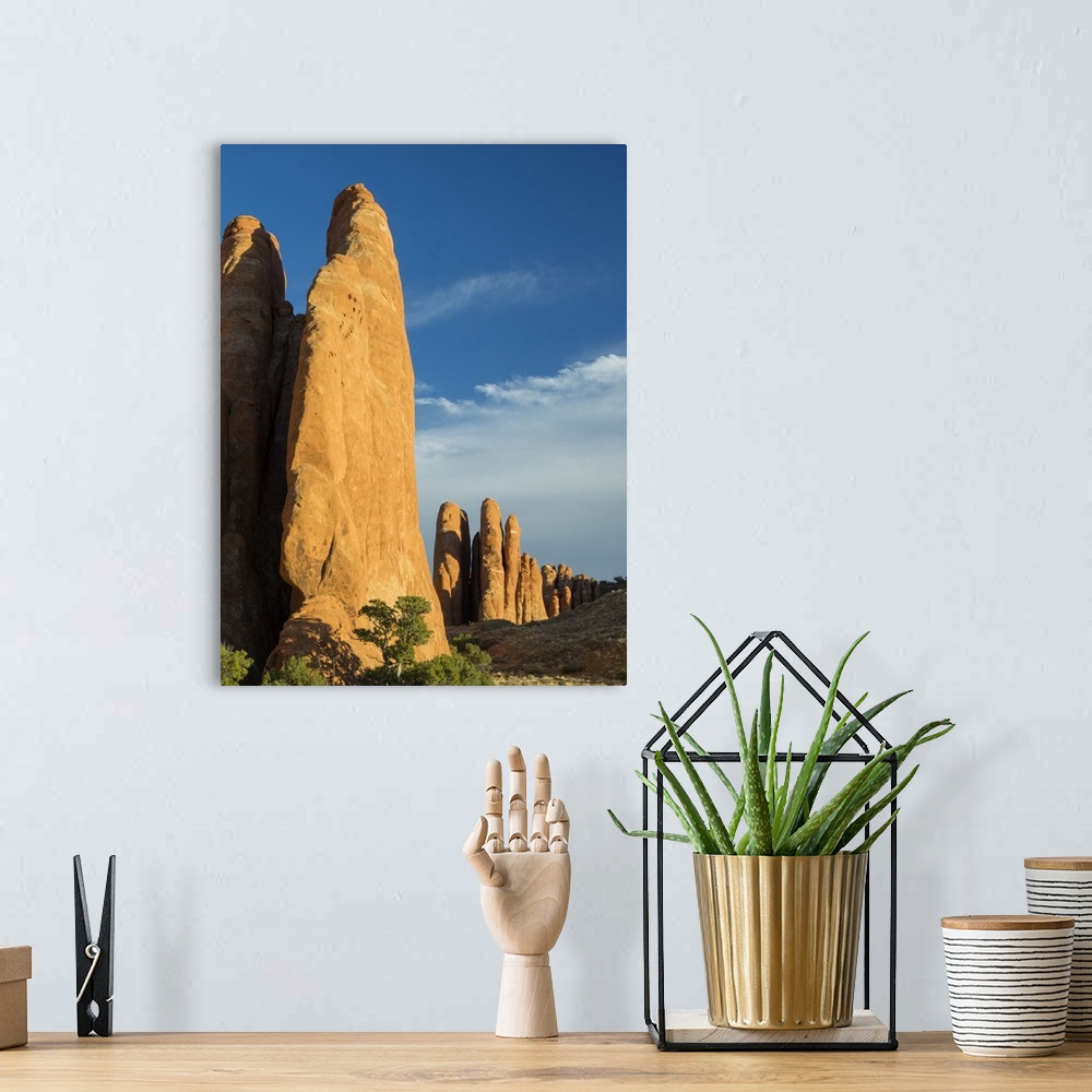A bohemian room featuring USA, Utah. Arches National Park, Fiery Furnace Fins