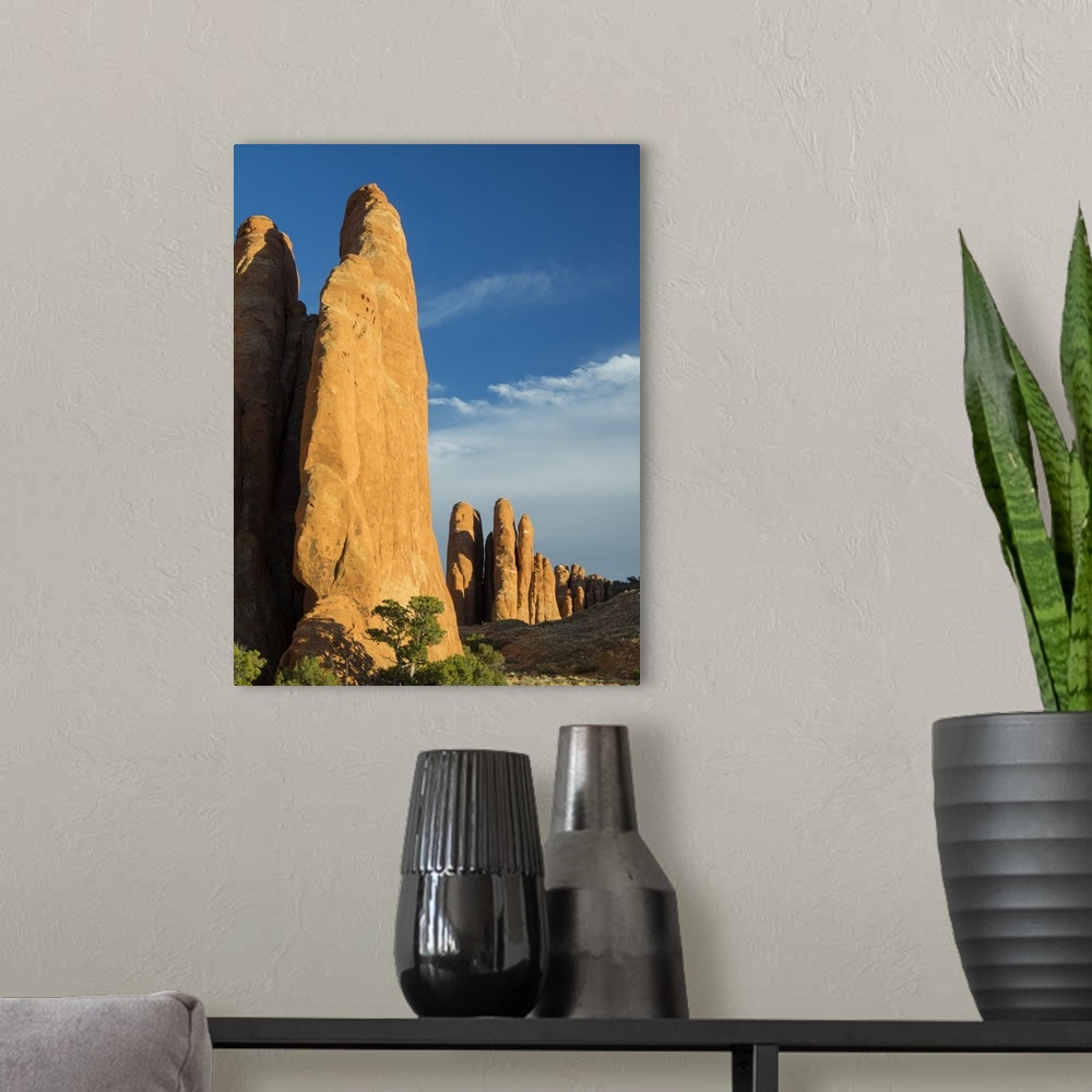 A modern room featuring USA, Utah. Arches National Park, Fiery Furnace Fins