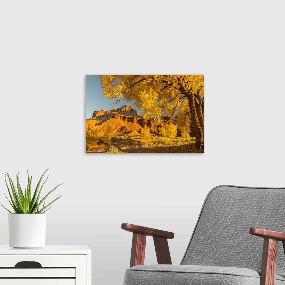 A modern room featuring Utah, Capitol Reef National Park, Cottonwood Trees And The Castle Rock Formation