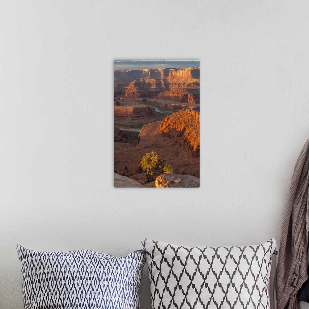 A bohemian room featuring USA, Utah, Dead Horse Point State Park. Sunrise on  Colorado River.