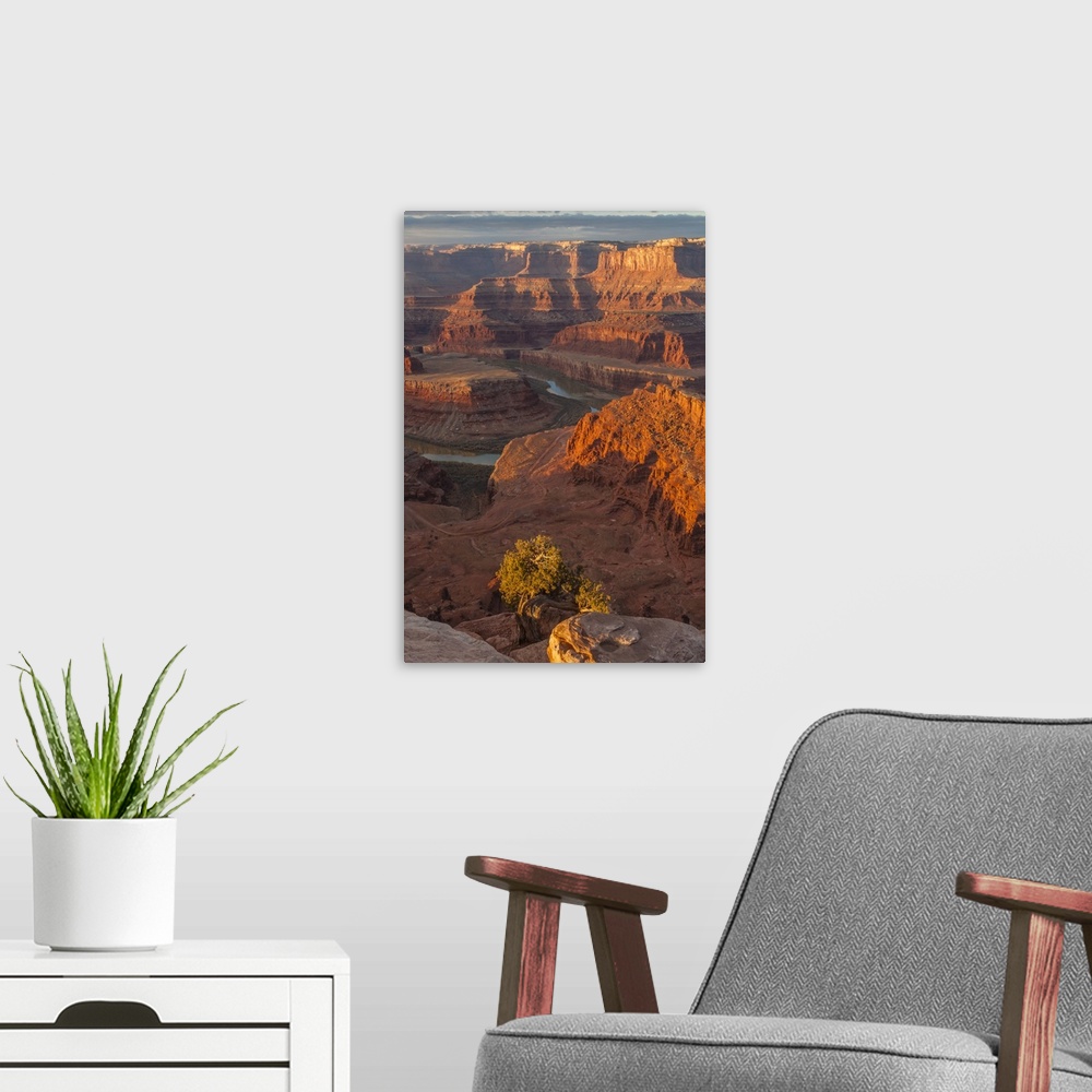 A modern room featuring USA, Utah, Dead Horse Point State Park. Sunrise on  Colorado River.
