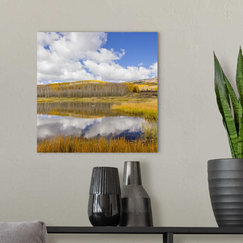 A modern room featuring USA, Utah, Dixie National Forest. Chriss Lake landscape.