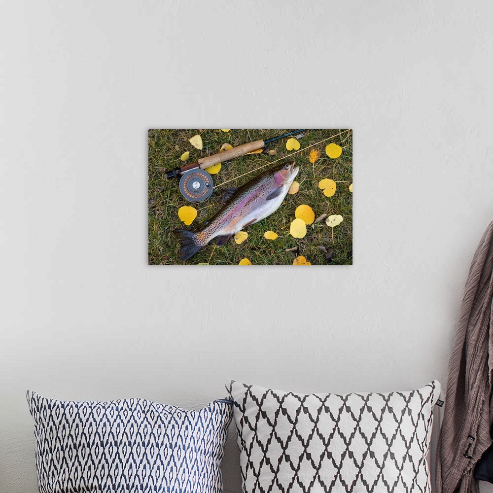 A bohemian room featuring USA, Utah, Fishlake National Forest. Rainbow trout and fly rod.