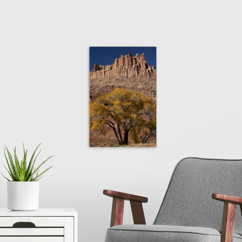 A modern room featuring USA, Utah. The Castle, geological features and autumn foliage, Capitol Reef National Park.