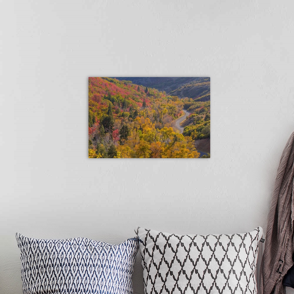 A bohemian room featuring USA, Utah, Uinta National Forest. Landscape with Nebo Loop Road.
