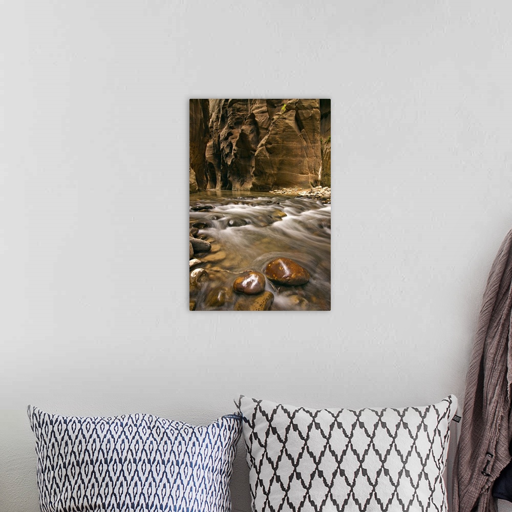 A bohemian room featuring Utah, Zion National Park, a scene along the Virgin River Narrows.