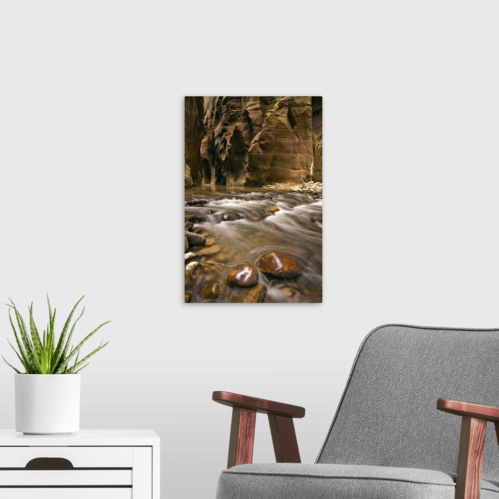 A modern room featuring Utah, Zion National Park, a scene along the Virgin River Narrows.
