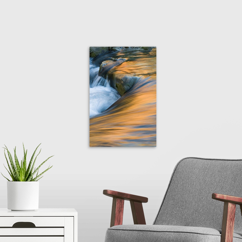 A modern room featuring USA, Utah, Zion National Park. Canyon and sky reflections on Virgin River turbulence.