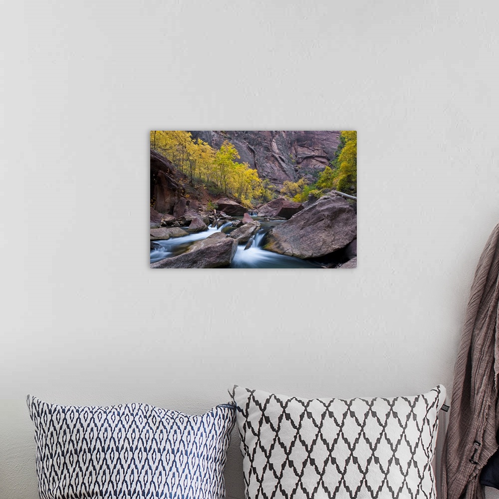 A bohemian room featuring USA, Utah, Zion National Park. Waterfall with cottonwood trees along Riverside Walk in The Narrows.