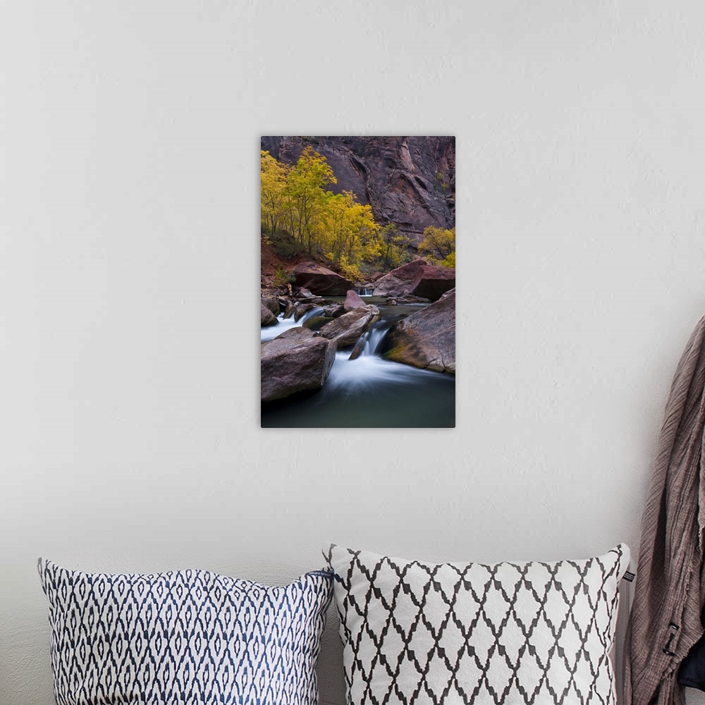 A bohemian room featuring USA, Utah, Zion National Park. Waterfall with cottonwood trees along Riverside Walk.