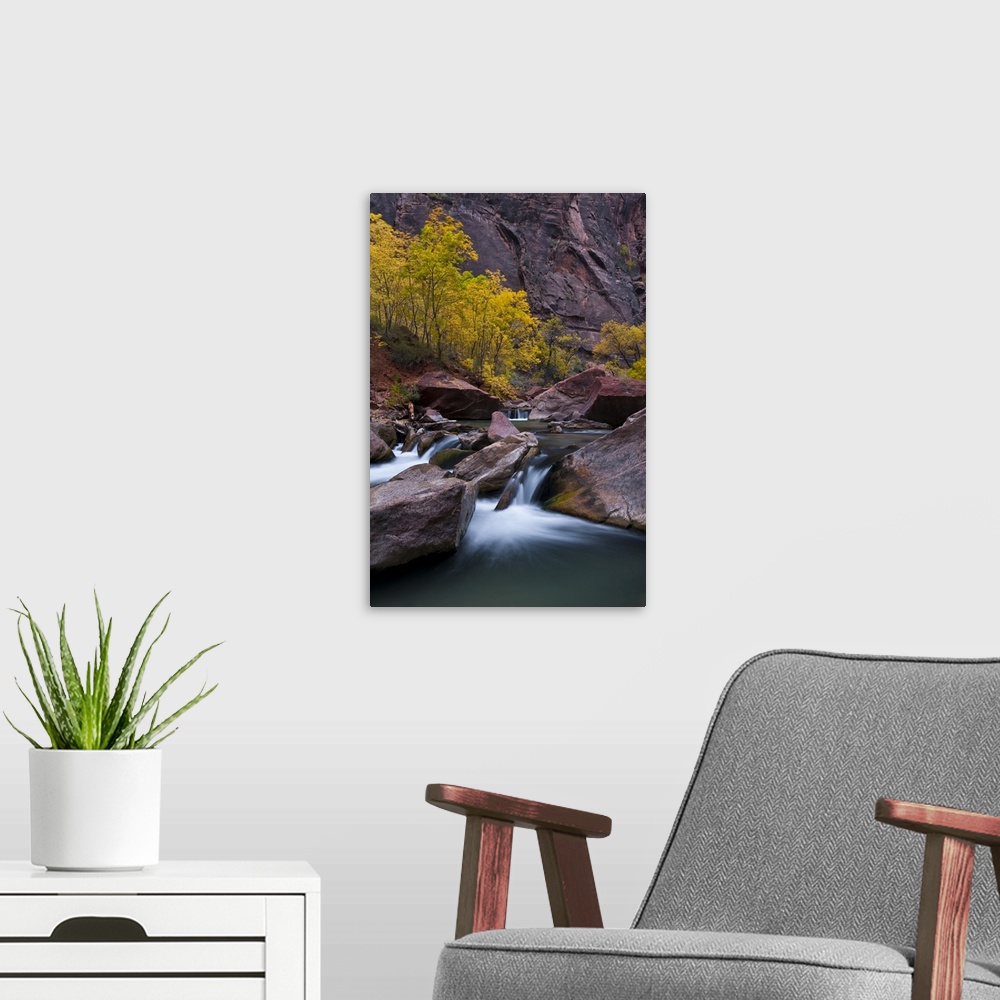 A modern room featuring USA, Utah, Zion National Park. Waterfall with cottonwood trees along Riverside Walk.