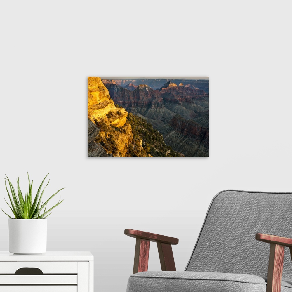 A modern room featuring View from Bright Angel Point on the North Rim of Grand Canyon National Park, Arizona, USA