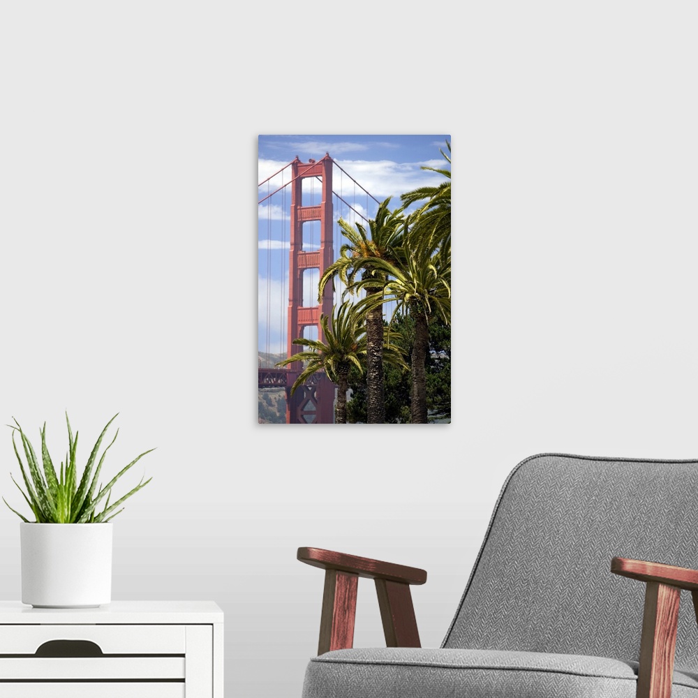 A modern room featuring View of the Golden Gate Bridge with Palm trees from the Presidio in San Francisco.