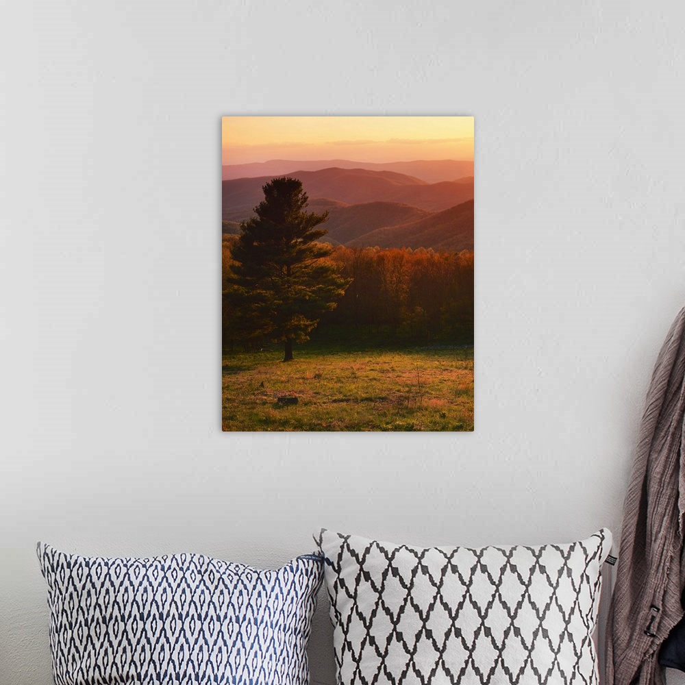 A bohemian room featuring USA, Virginia, Shenandoah National Park, Sunset from Hazeltop Ridge.