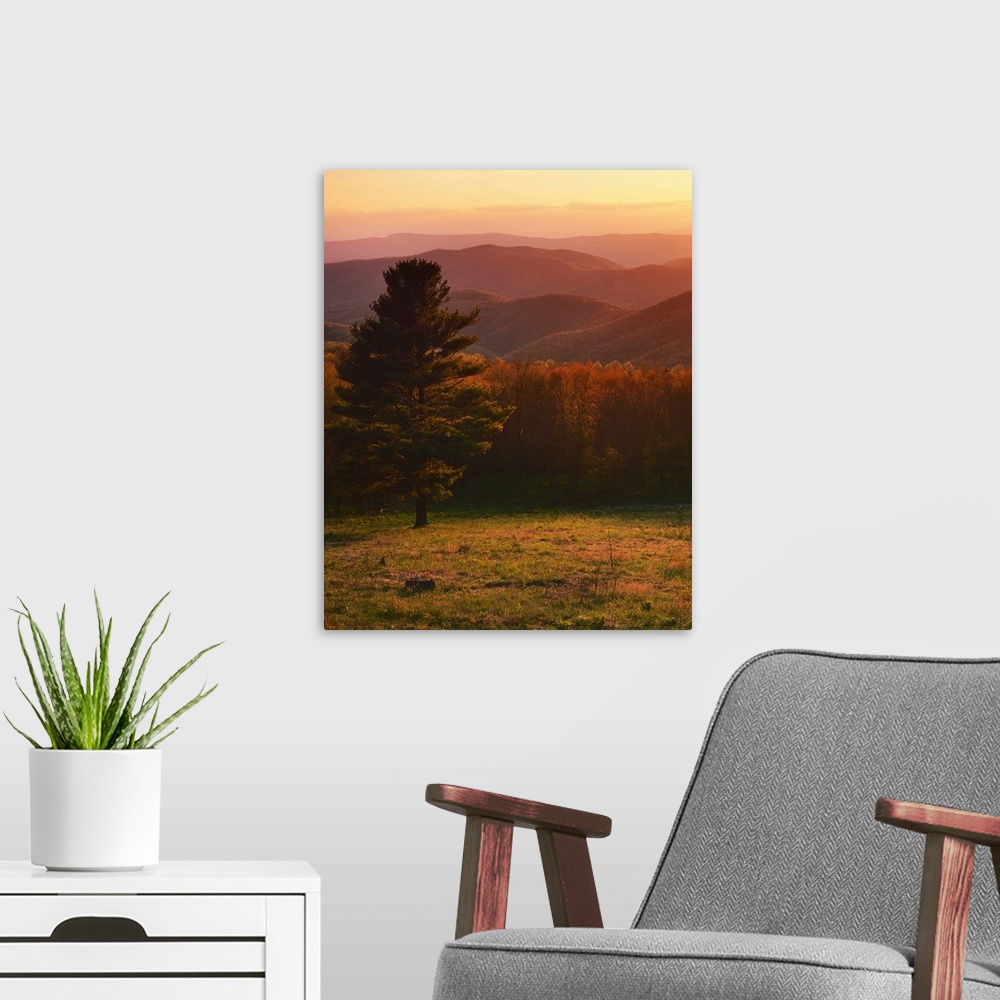 A modern room featuring USA, Virginia, Shenandoah National Park, Sunset from Hazeltop Ridge.