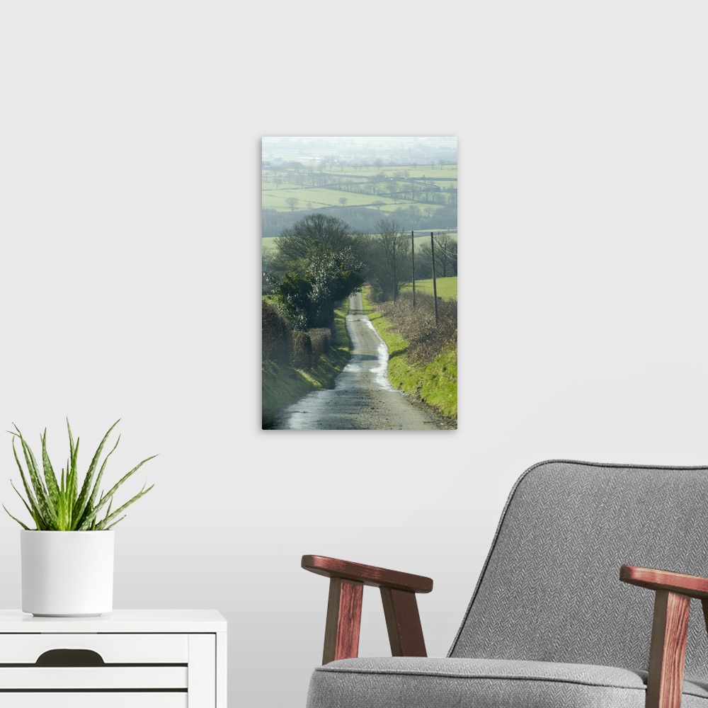 A modern room featuring Wales, narrow road leading down hillside in spring
