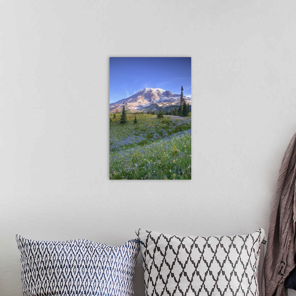 A bohemian room featuring Washington, Mt. Rainier National Park, Mt. Rainier and wildflowers at Mazama Ridge.