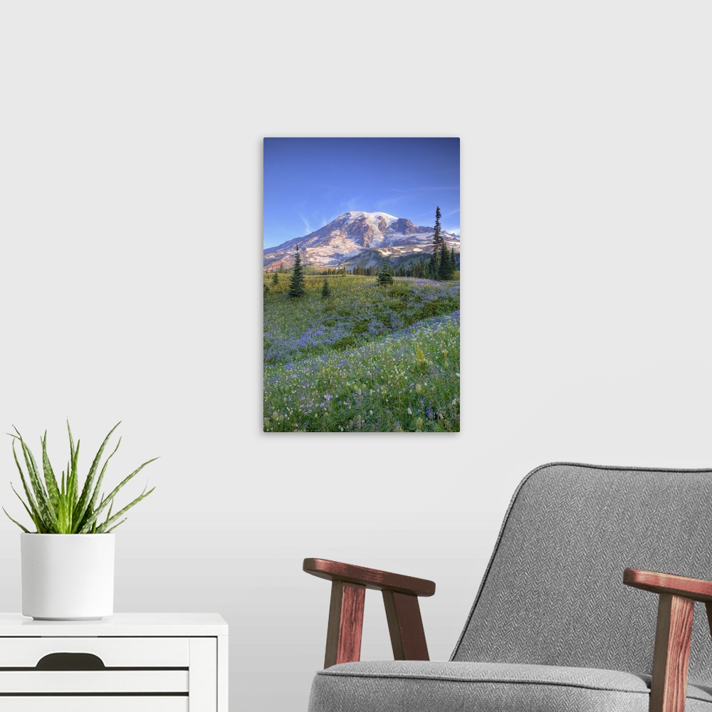 A modern room featuring Washington, Mt. Rainier National Park, Mt. Rainier and wildflowers at Mazama Ridge.