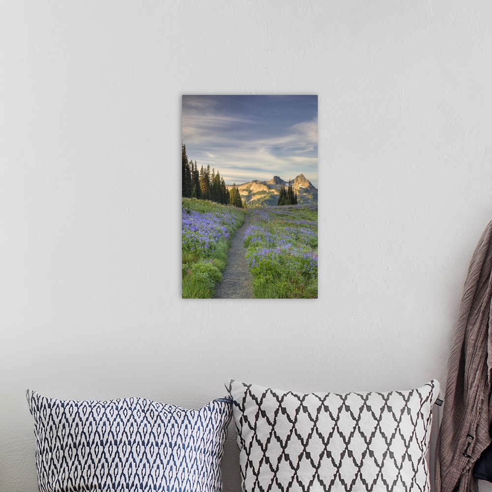 A bohemian room featuring Washington, Mt. Rainier National Park, Tatoosh Range and wildflowers, view from Mazama Ridge.