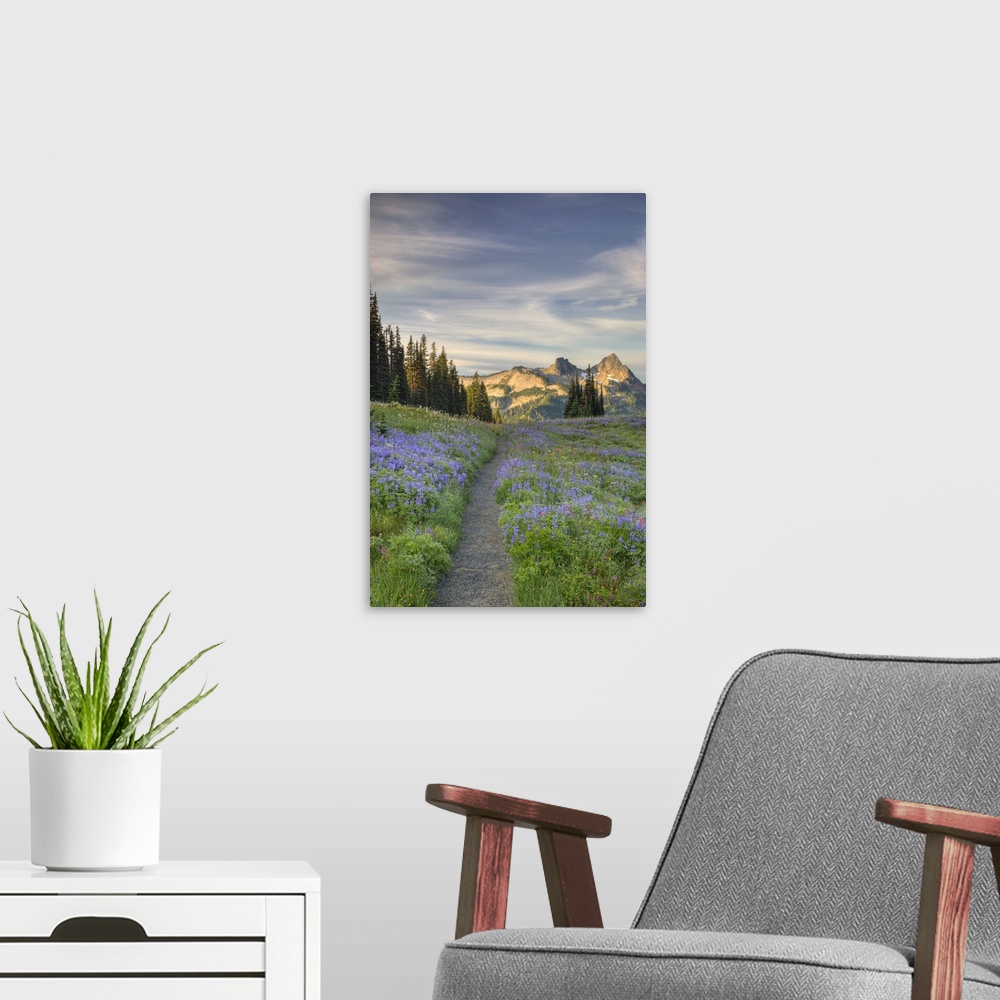 A modern room featuring Washington, Mt. Rainier National Park, Tatoosh Range and wildflowers, view from Mazama Ridge.
