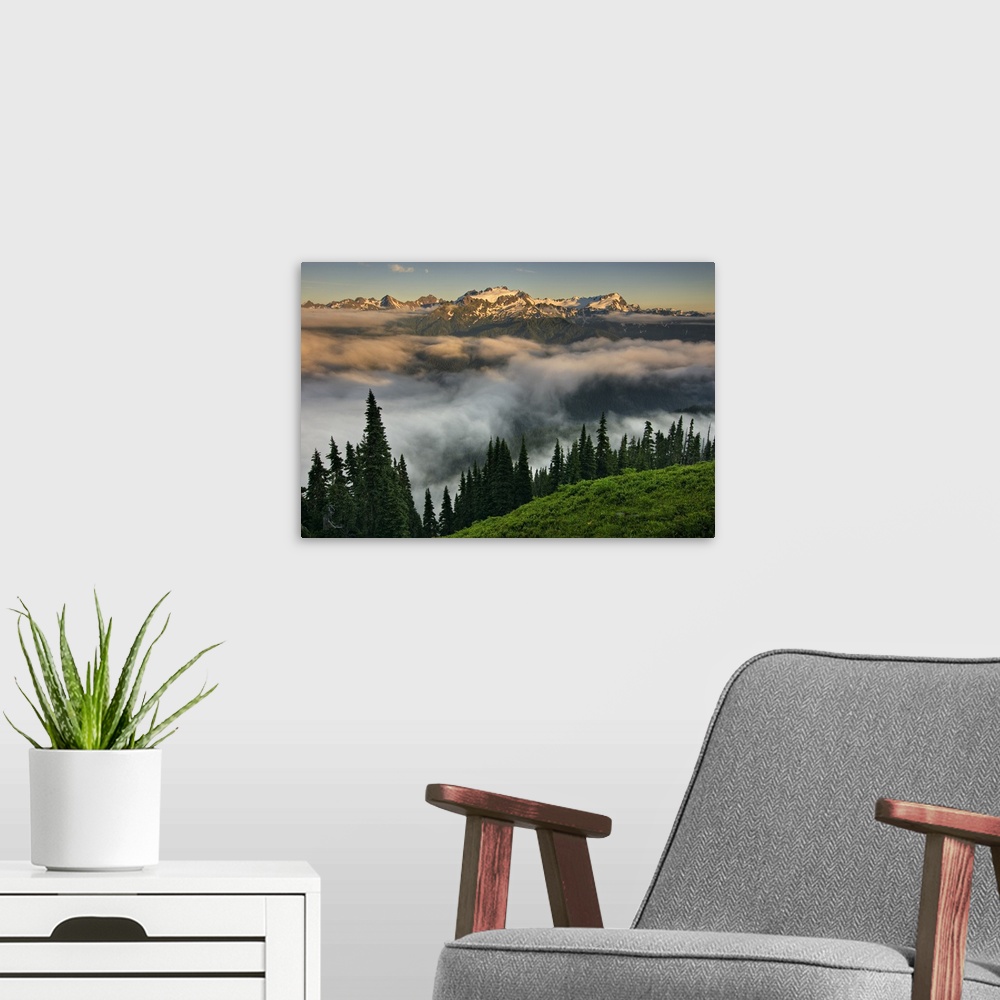 A modern room featuring USA, Washington, Olympic National Park.  View of Mt. Olympus from the High Divide.