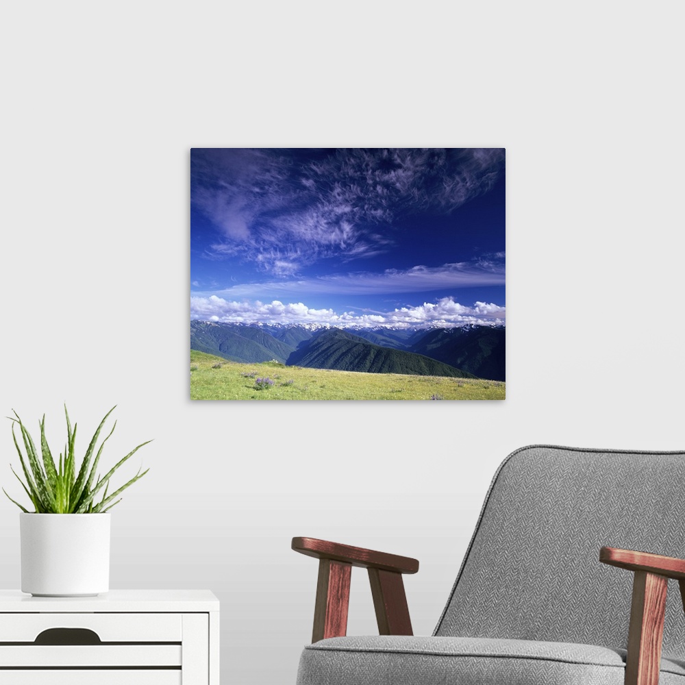 A modern room featuring Washington Olympic National Park, Olympic Mountain Range, view from Hurricane Ridge.