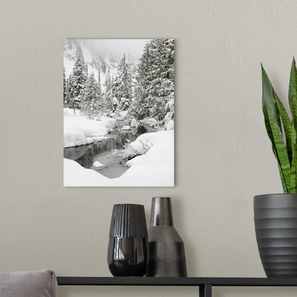 A modern room featuring Washington State, Central Cascades, Granite Creek Winter Scene