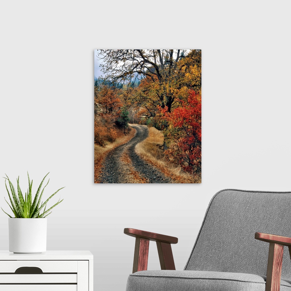 A modern room featuring USA, Washington, Columbia River Gorge National Scenic Area. Road and autumn-colored oaks.