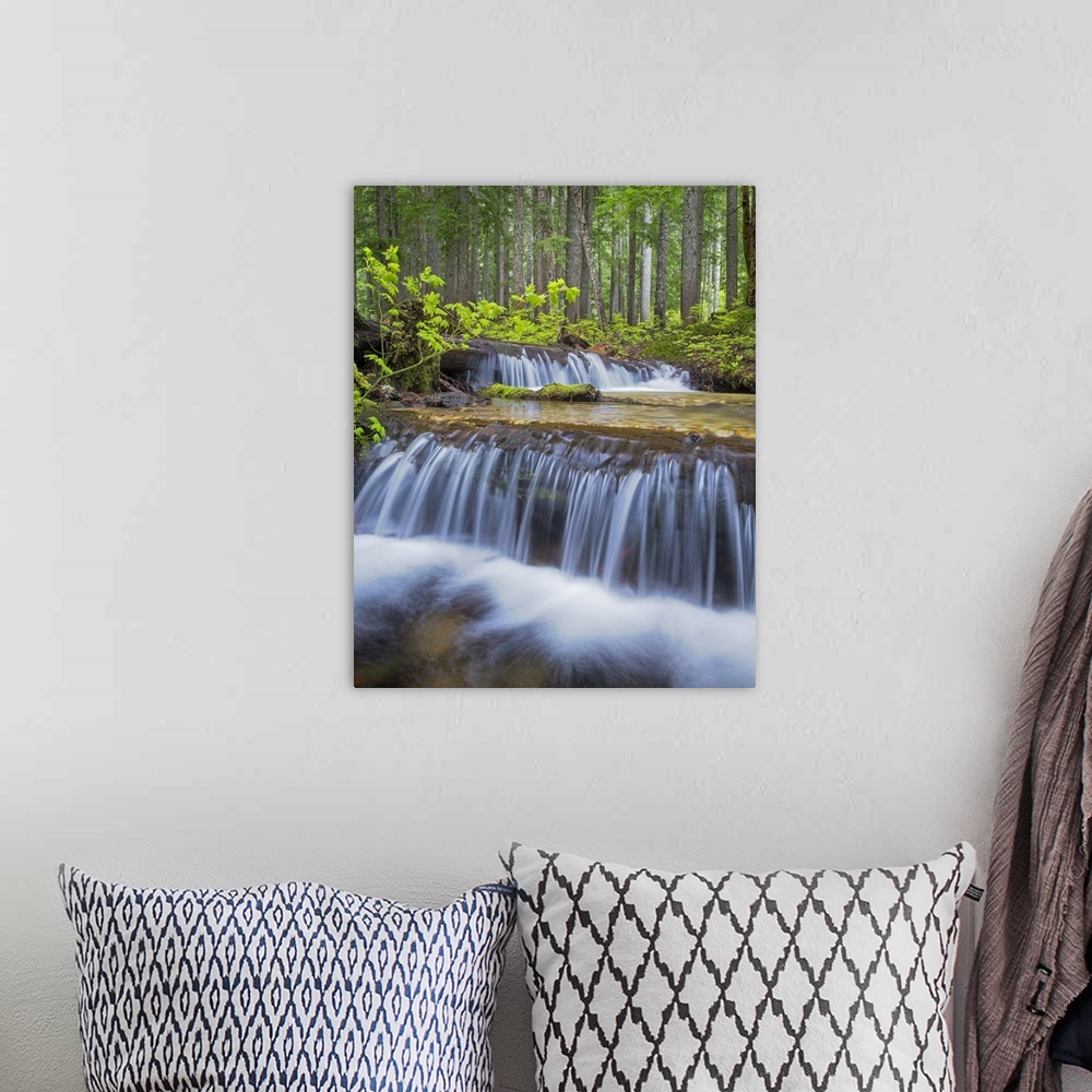 A bohemian room featuring USA, Washington, Gifford Pinchot National Forest. Waterfall and forest scenic.