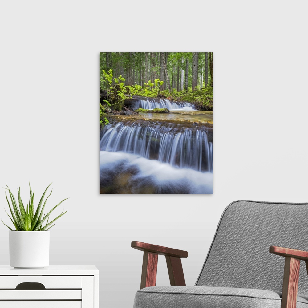 A modern room featuring USA, Washington, Gifford Pinchot National Forest. Waterfall and forest scenic.
