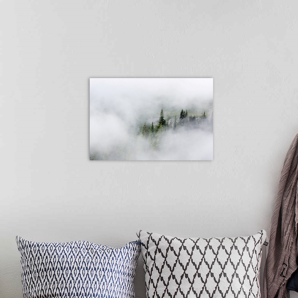 A bohemian room featuring Washington State, Mount Rainier National Park. Fir trees in clouds