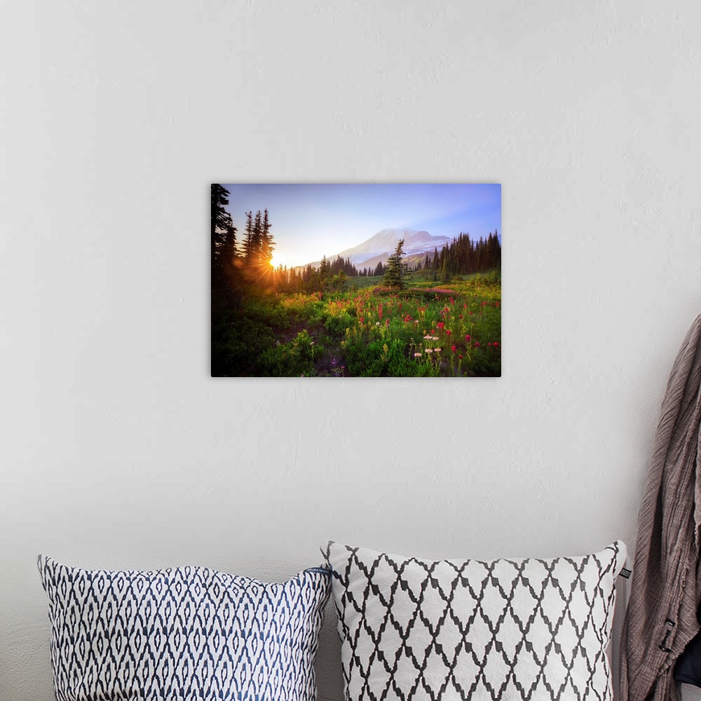 A bohemian room featuring USA, Washington State, Mt Rainier National Park. Sunset on mountain wildflowers. Credit: Jim Nilsen