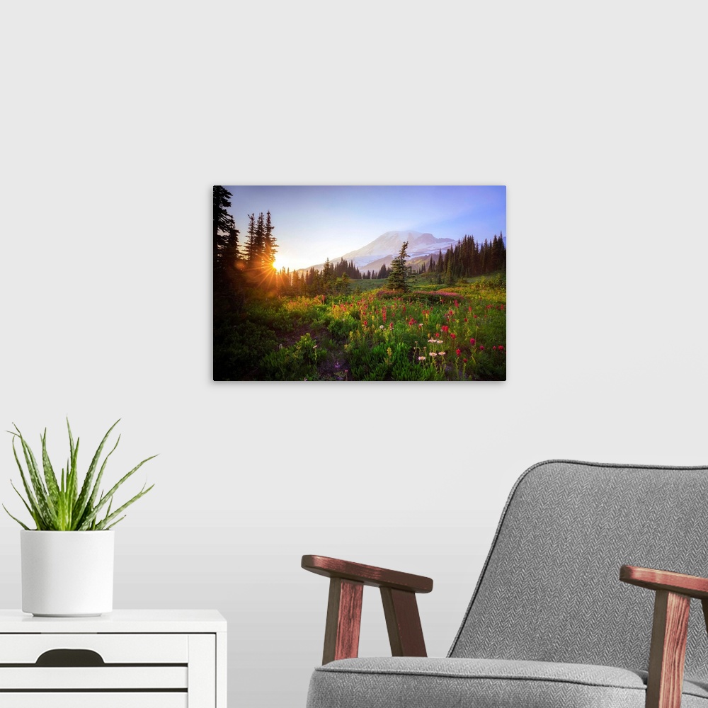 A modern room featuring USA, Washington State, Mt Rainier National Park. Sunset on mountain wildflowers. Credit: Jim Nilsen