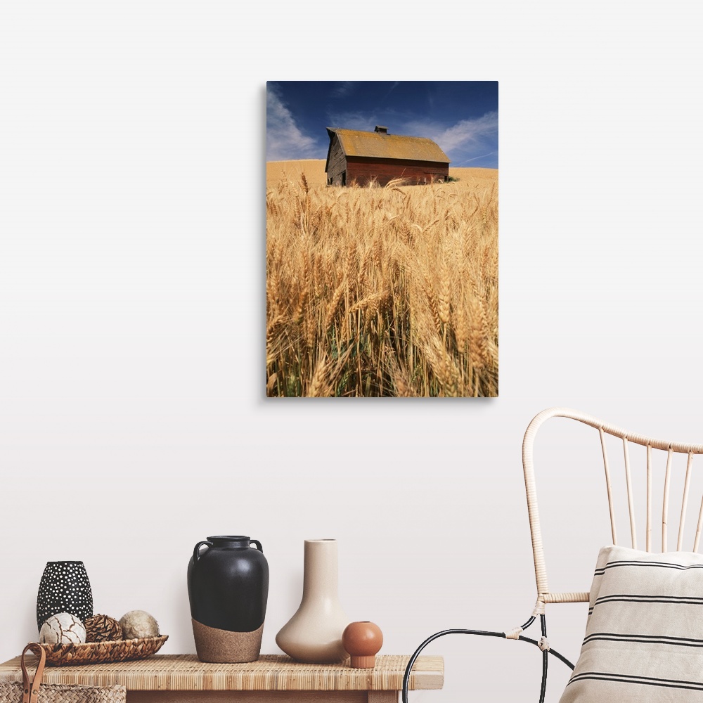 A farmhouse room featuring USA, Washington State, Palouse, View of barn surrounded with wheatfield.
