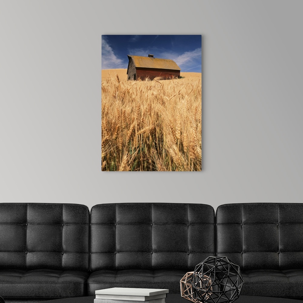 A modern room featuring USA, Washington State, Palouse, View of barn surrounded with wheatfield.