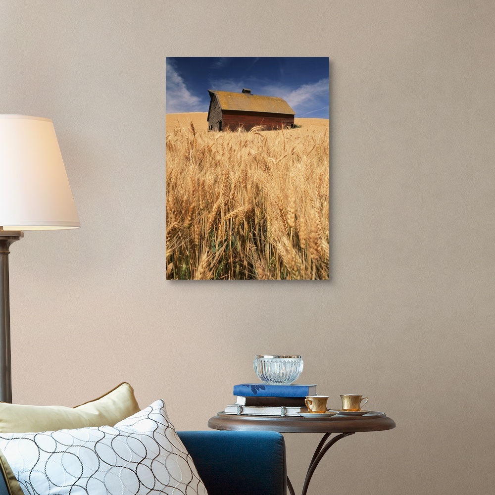 A traditional room featuring USA, Washington State, Palouse, View of barn surrounded with wheatfield.