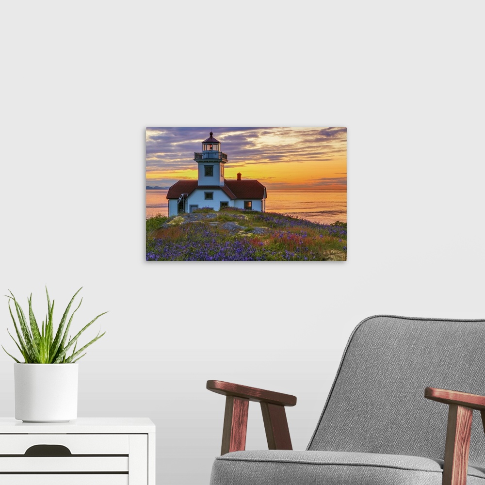 A modern room featuring USA, Washington, San Juan Islands. Patos Lighthouse and camas flowers at sunset.
