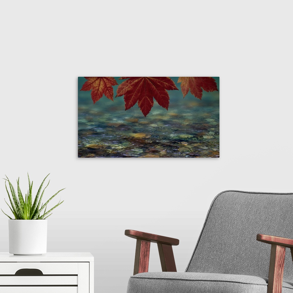 A modern room featuring USA, Washington State, Seabeck. Composite of vine maple over river. Credit: Don Paulson