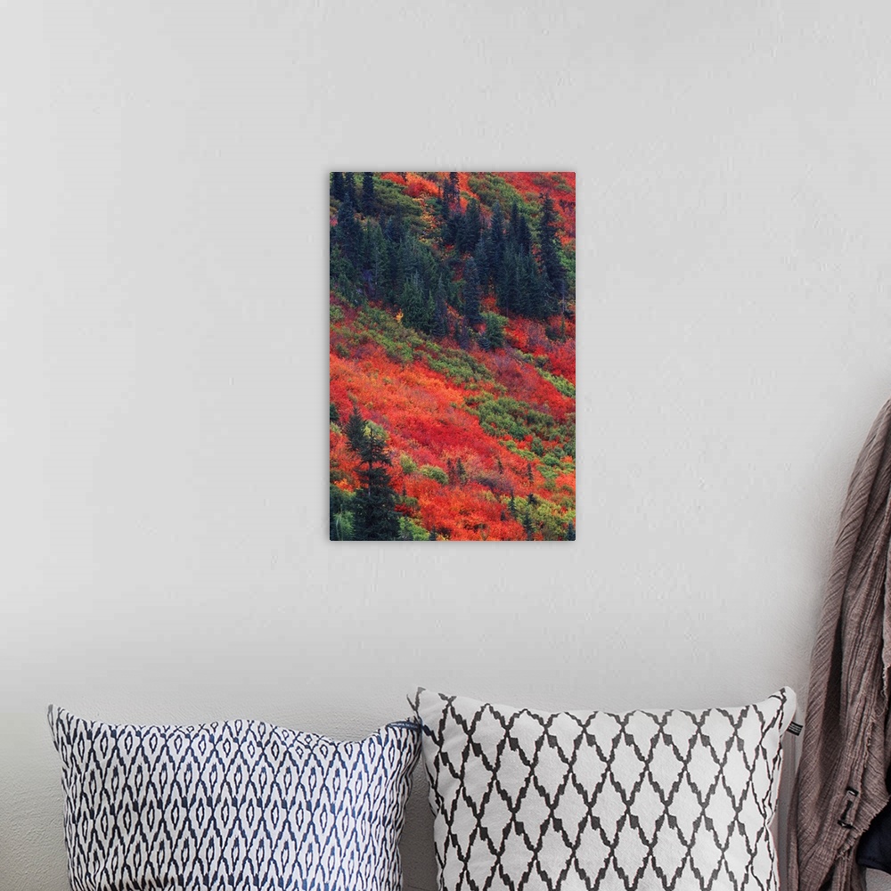 A bohemian room featuring Washington, Wenatchee National Forest, Steven's Pass, Autumn Color.