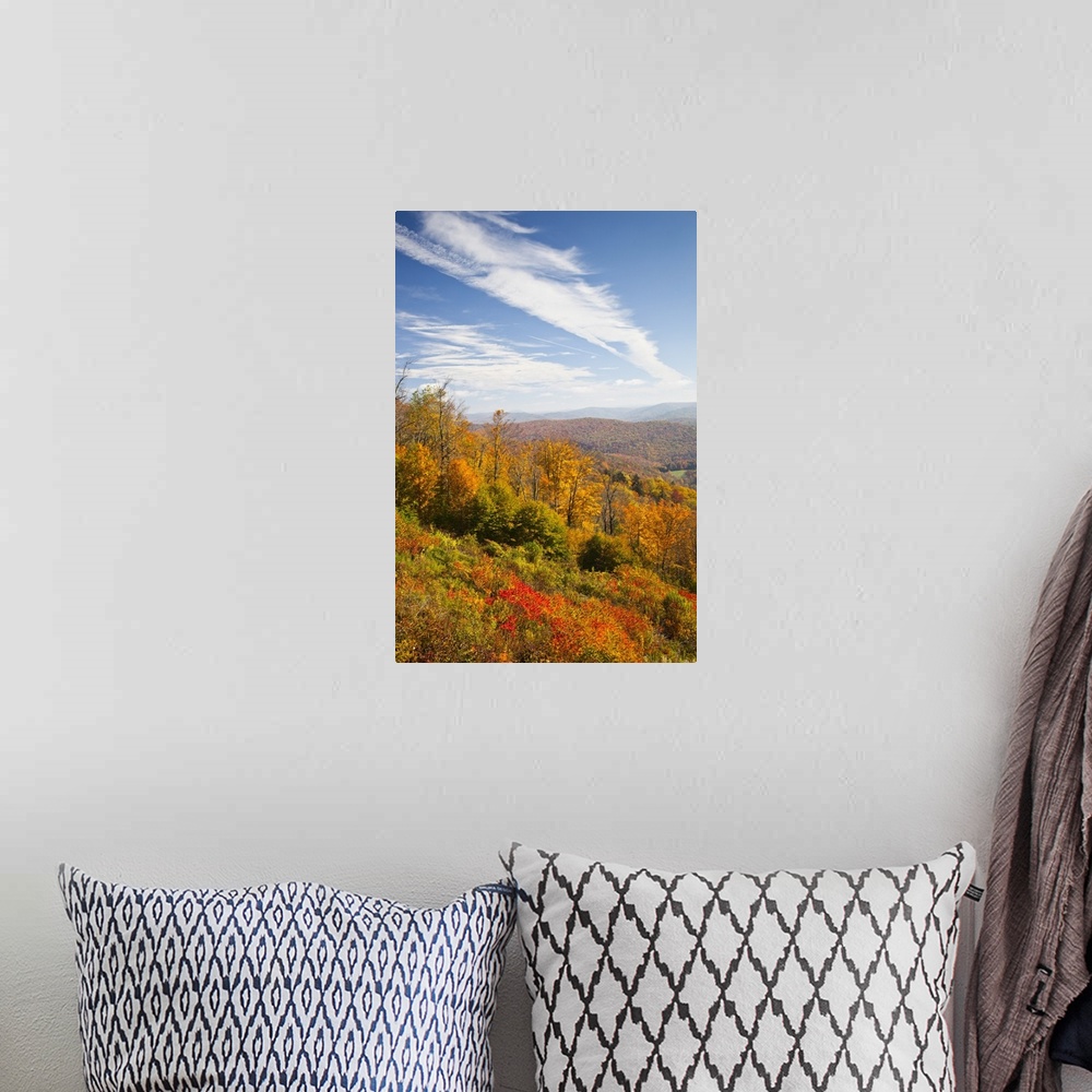 A bohemian room featuring West Virginia, Cheat Bridge, Monongahela National Forest, fall foliage, Route 250.