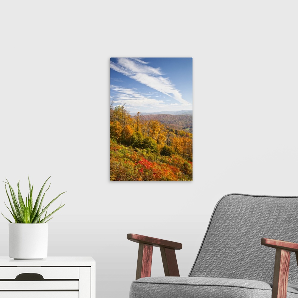 A modern room featuring West Virginia, Cheat Bridge, Monongahela National Forest, fall foliage, Route 250.