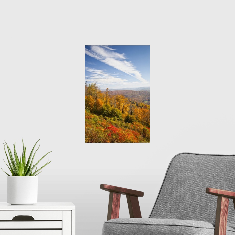 A modern room featuring West Virginia, Cheat Bridge, Monongahela National Forest, fall foliage, Route 250.