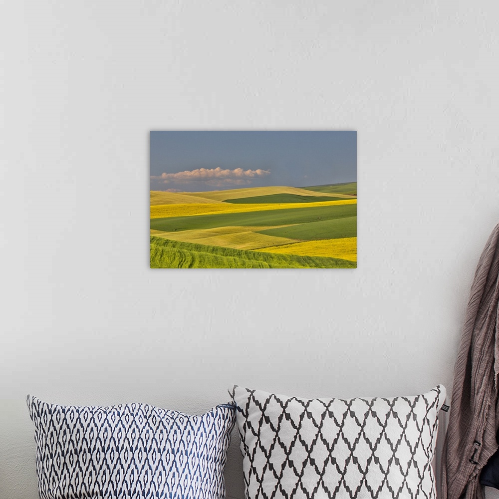 A bohemian room featuring Wheat and canola fields interlaced in Palouse Country of Eastern Washington