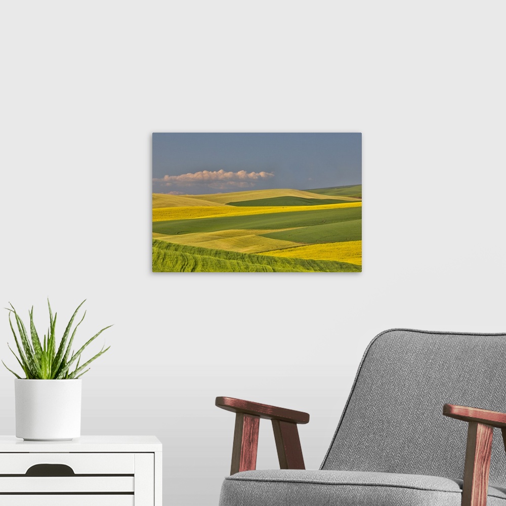 A modern room featuring Wheat and canola fields interlaced in Palouse Country of Eastern Washington
