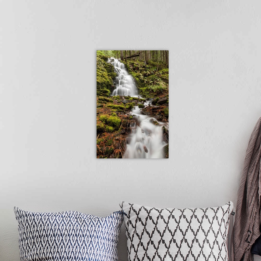 A bohemian room featuring White Branch Falls, Oregon Cascades, Oregon