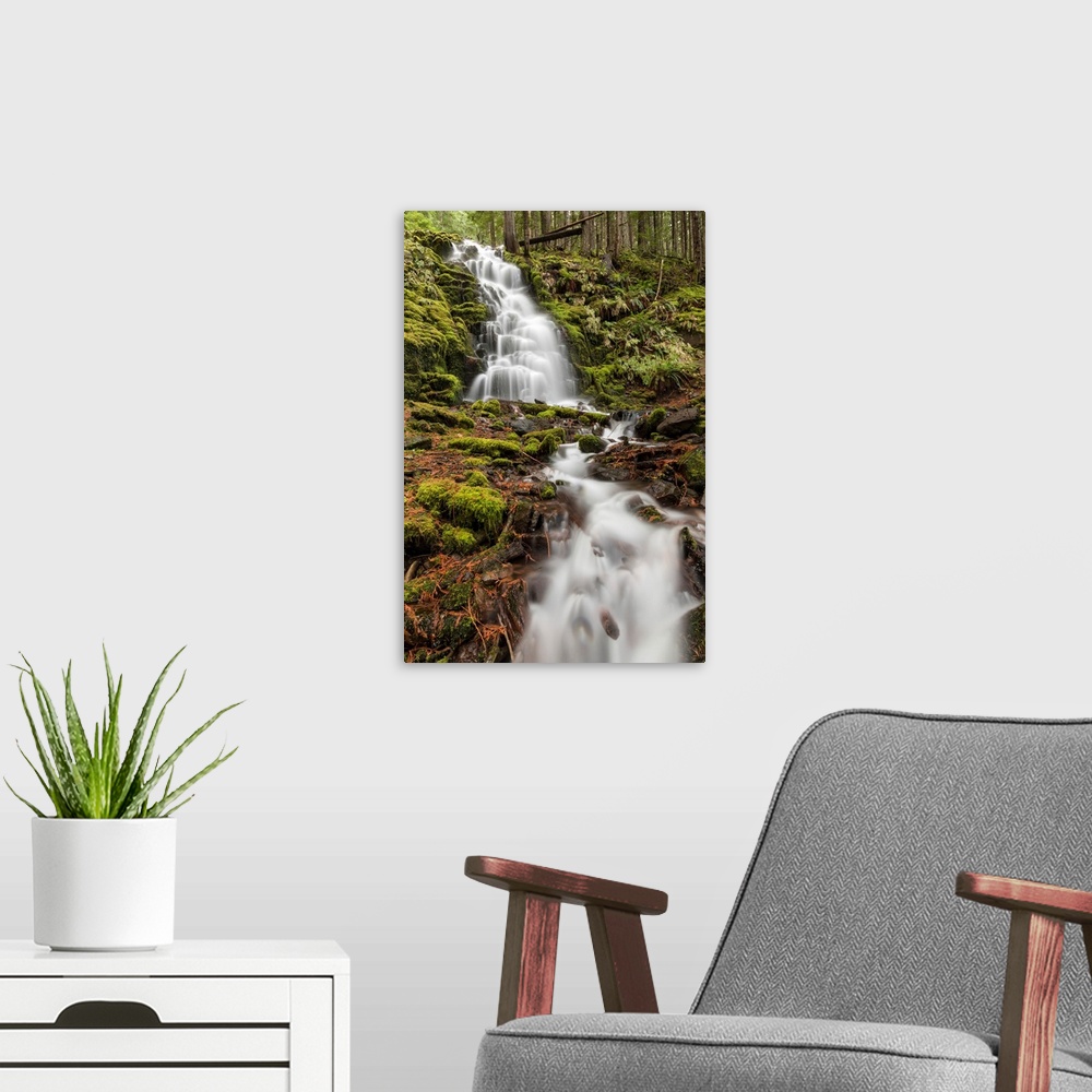 A modern room featuring White Branch Falls, Oregon Cascades, Oregon