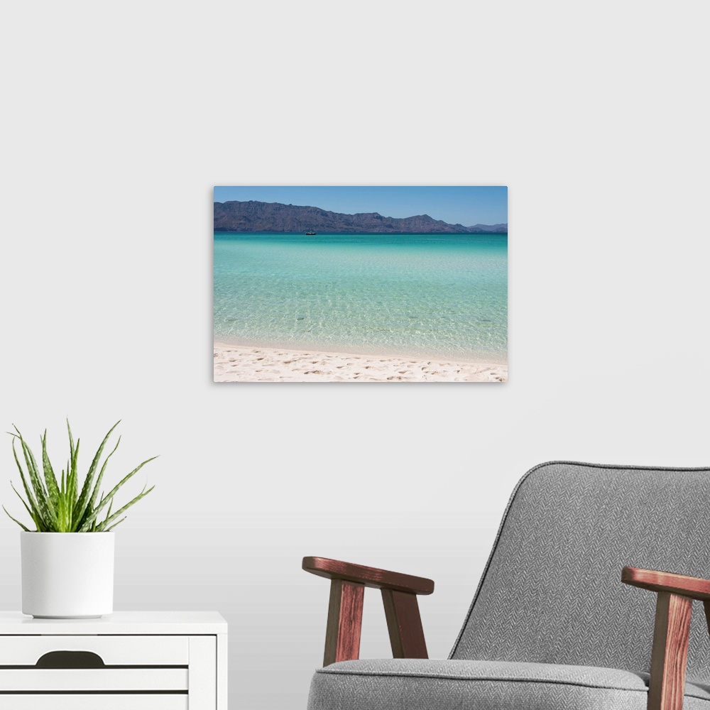 A modern room featuring Mexico, Baja California Sur, Sea of Cortez. White sand beach and calm waters Isla Coronado.